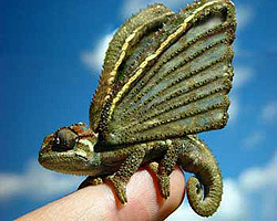 Летящ гущер