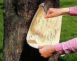 Книга от дърво