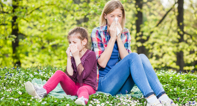 Цели семейства са вече с алергия (част 1)