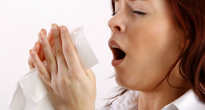 До 2025 год. всеки втори българин ще страда от алергия