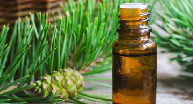 10 доказани ползи за здравето от етеричното масло от бор