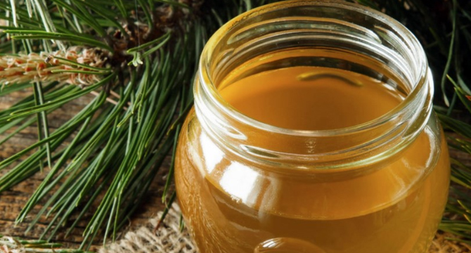 Здрава зима с боров мед и витаминозни напитки (Народни рецепти)