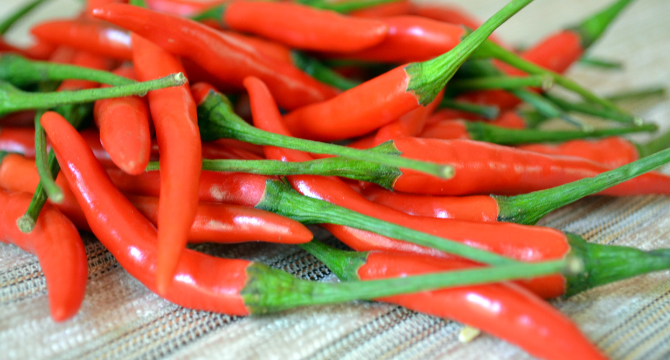 Екстракт от червени люти чушлета – балсам при ревматизъм