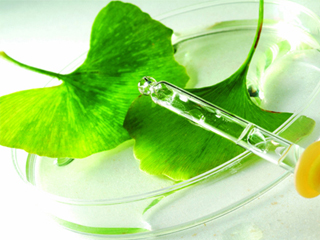 Каква е разликата между дъбилни и горчиви вещества?