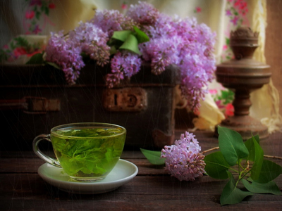 Може ли да запазим младостта със зелен чай?