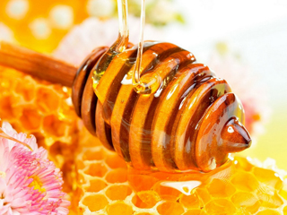 Нови видове мед напират към трапезата (част 1)