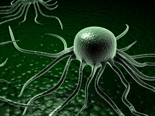 Възможно ли е микроб да причинява рака?
