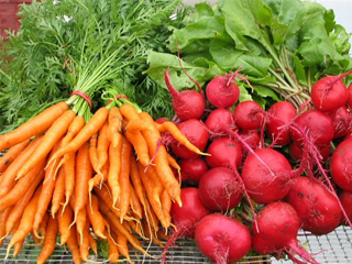 Загуба на 5-7 кг. с диета от моркови и цвекло