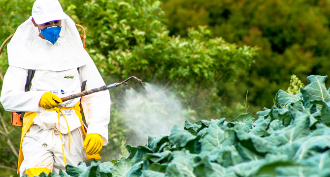 Най-големите количества конфискувани незаконни или фалшиви пестициди в операцията на Европол SILVER AXE
