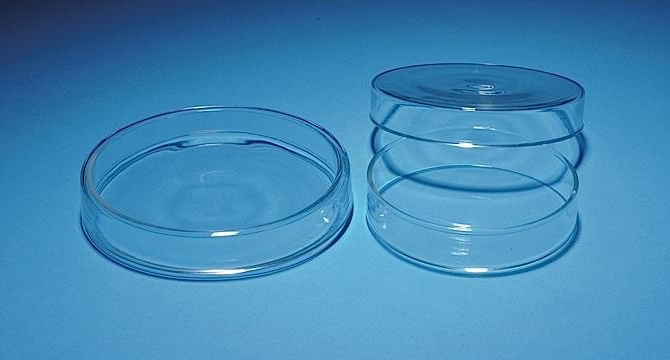 Повече от 130 г. микробиолозите използват стъкло на Петри