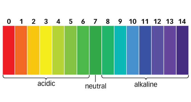 Какво представлява и каква е ролята на pH?
