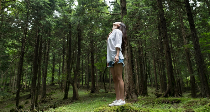 Открийте тайните на японската горска терапия и се възползвайте от лечебните сили на природата 