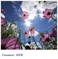 Депресии!!!! Sunny-nature