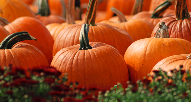 Диабетиците да внимават с порциите тиква