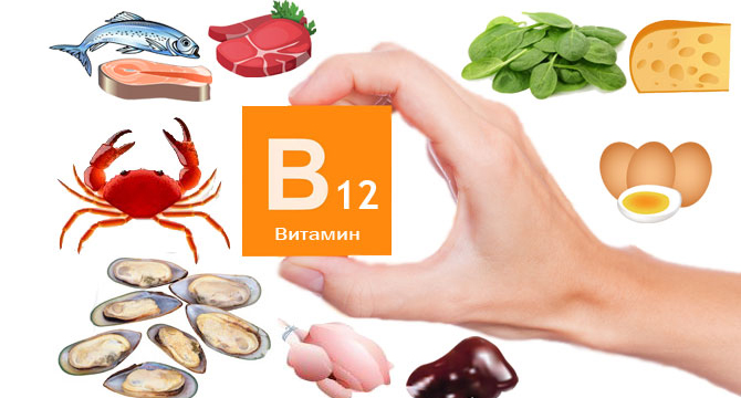 Какво е B12 и защо е толкова важен?