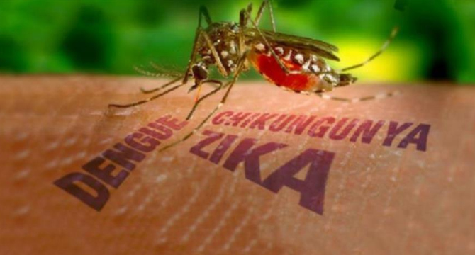 Няма пряка за България опасност от разпространение на вируса Зика
