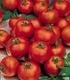 Сезонът на доматите