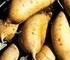 Картофите са незаменим хранителен продукт