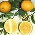 Лимон и краставица при уморена кожа