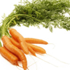 Полезната за организма морковена диета