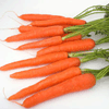 Отслабване за деня на влюбените – морковена диета